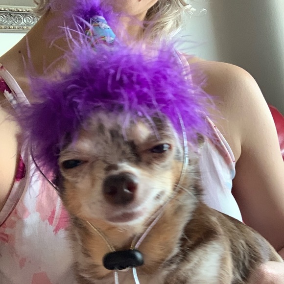 Birthday joy - Picture 1 of 4